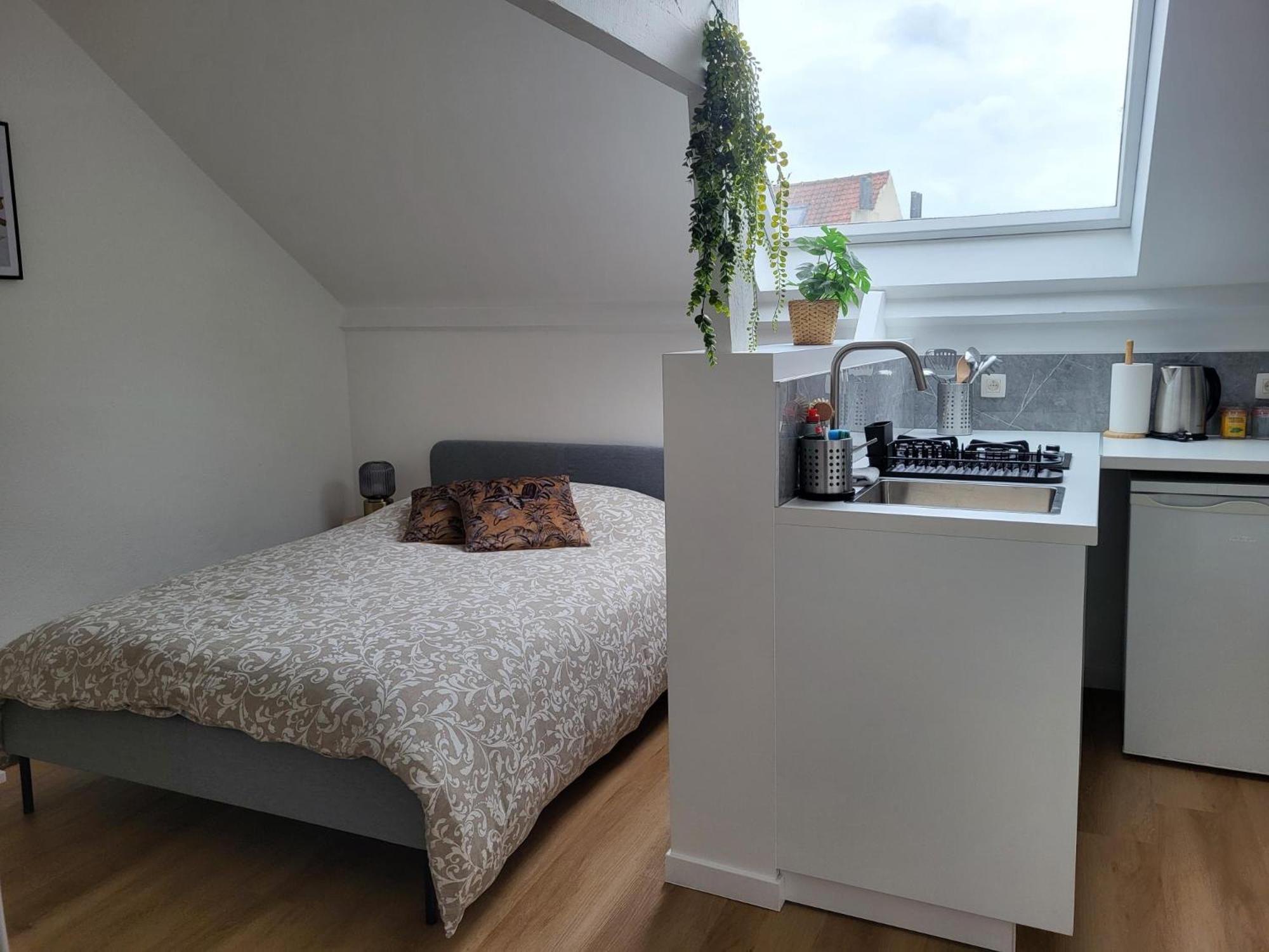 Studios Idealement Situes - Eu Etterbeek Exterior foto